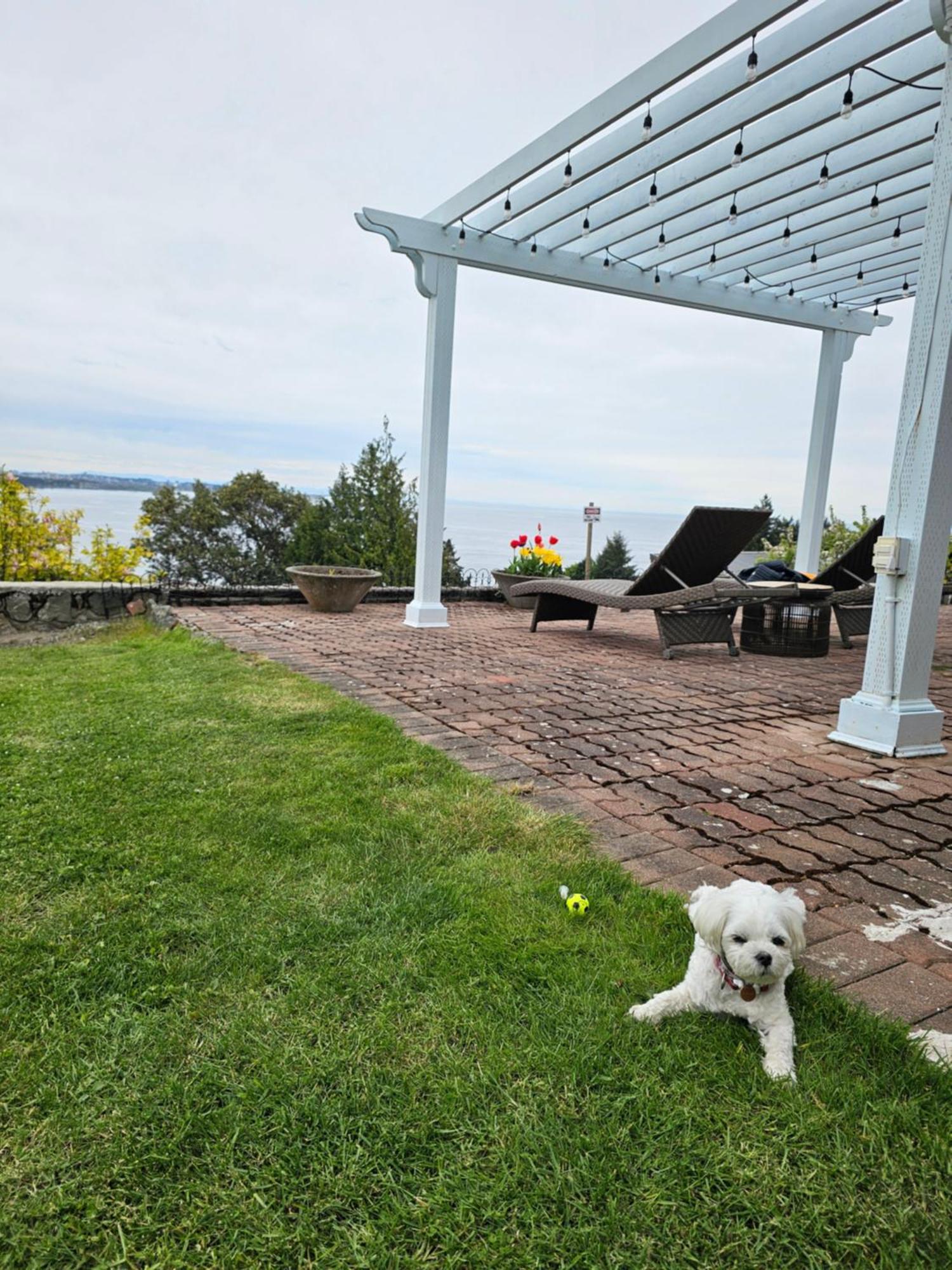 Hov B&B House -Hospitality Ocean View Victoria-