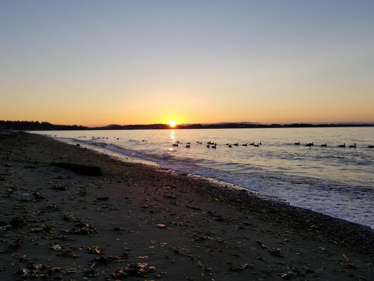 Hov B&B House -Hospitality Ocean View Victoria- * Victoria