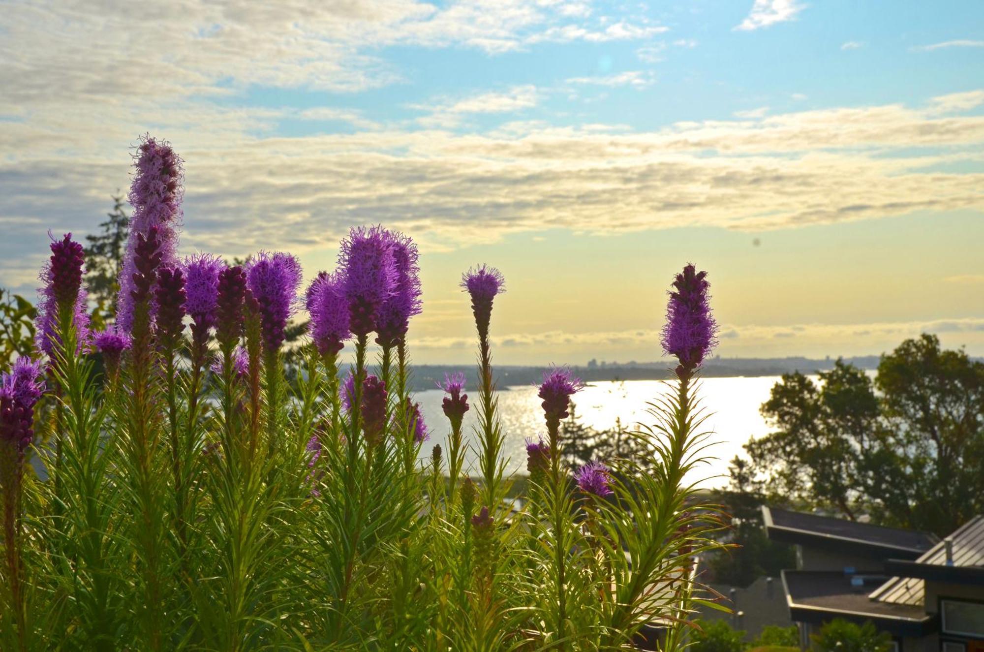 Hov B&B House -Hospitality Ocean View Victoria- *